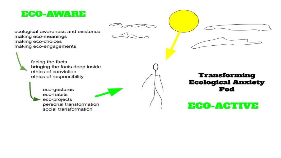 Transform Eco-Anxiety Pod: Teacher and Parent Training for the Challenges of Eco-Anxious Youth