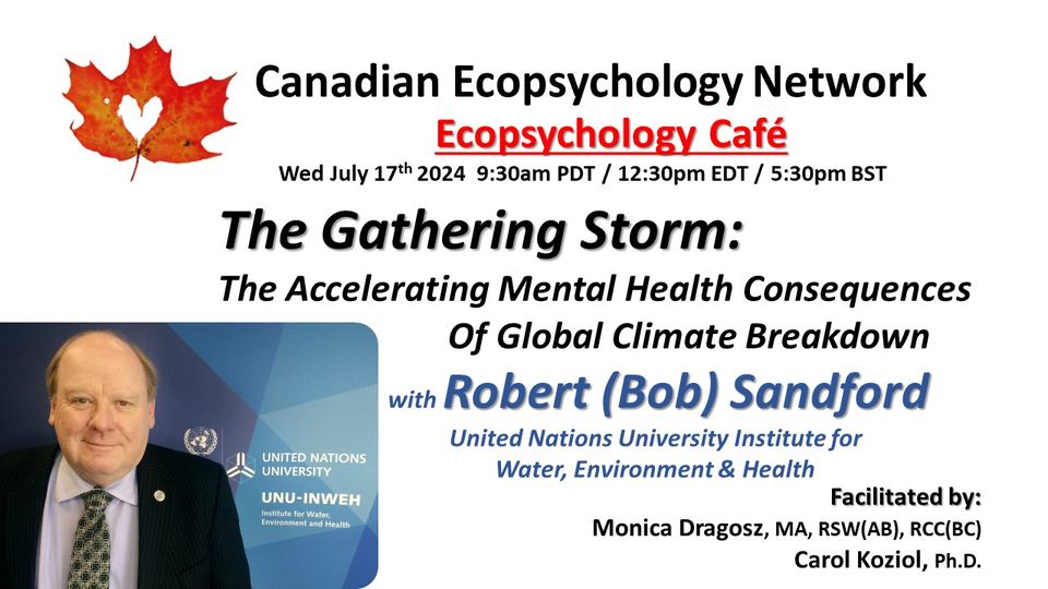 he Gathering Storm: The Accelerating Mental Health Consequences Of Global Climate Breakdown