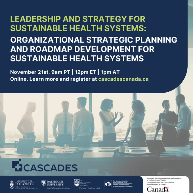 Organizational strategic planning and roadmap development for sustainable health systems