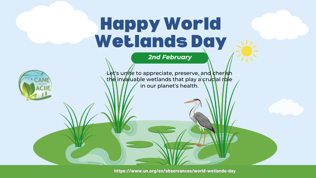 World Wetlands Day