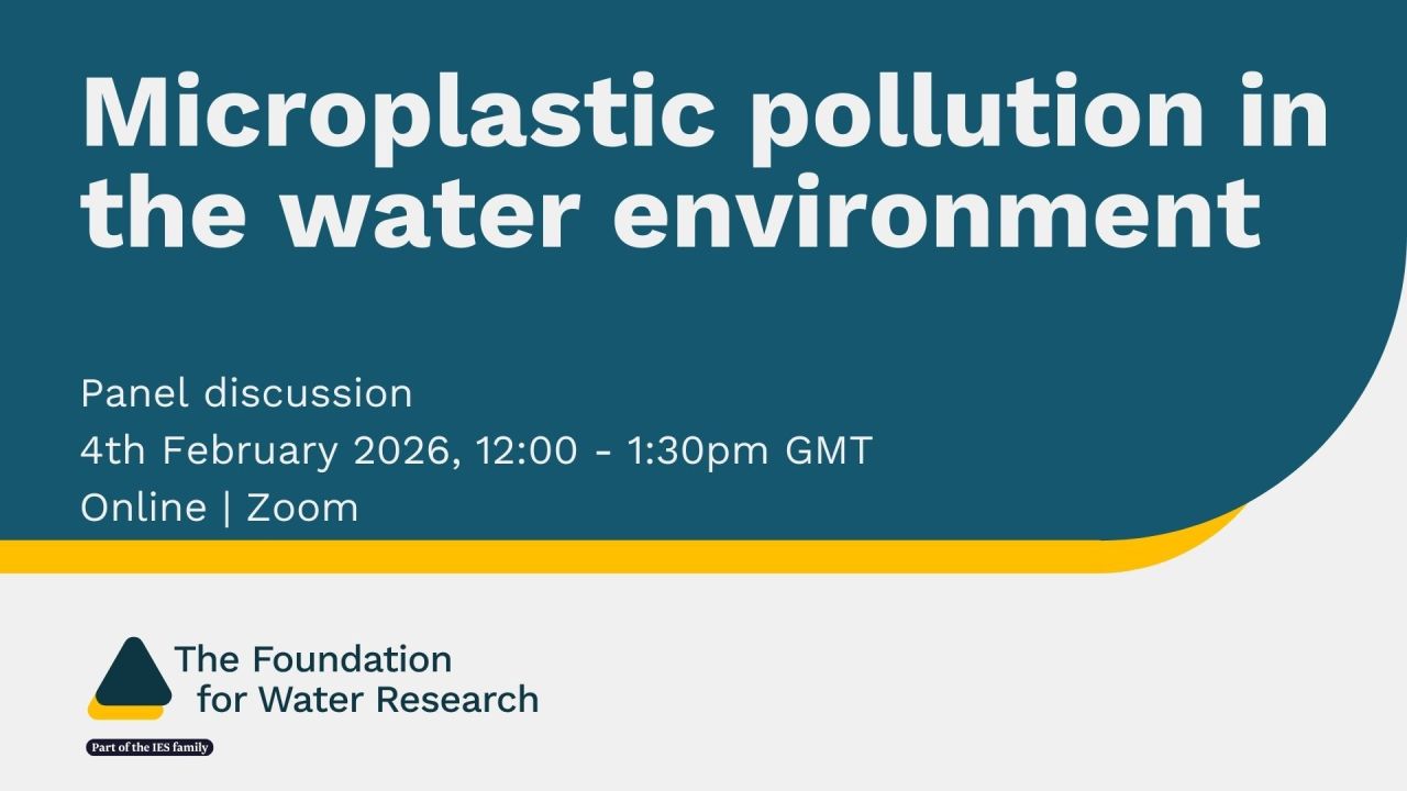 Microplastic pollution in the water environment