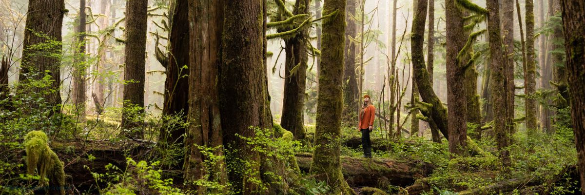 Workshop: How to speak up for old growth